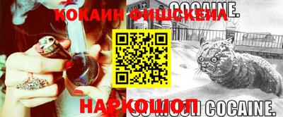spice Кингисепп