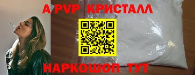 spice Кингисепп