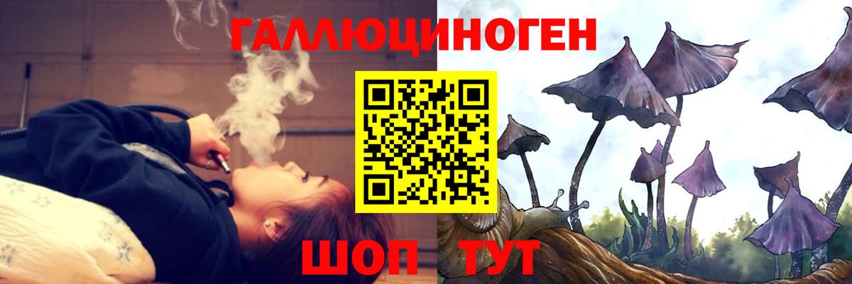 наркота  Псилоцибиновые грибы мухоморы  Вход с VPN  Краснознаменск 